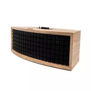 اسپیکر شارژی هیسکا L75-MS